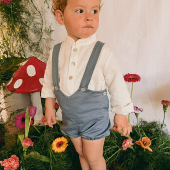 Pololo pinocho azulón